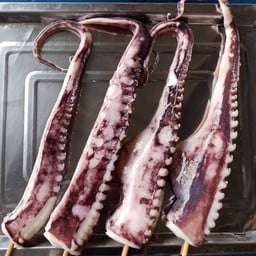 ปลายหนวดยักษ์ใหญ่