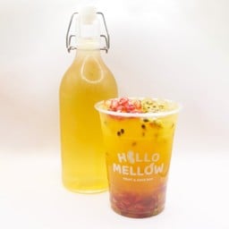 ชาหมักคอมบูฉะ Homemade Kombucha Tea