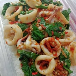 กะเพราปลาหมึกราดข้าว