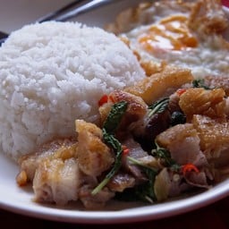 กะเพราทองแมว