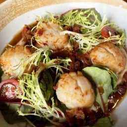 Hokkaido Scallop and Cauliflower Puree