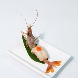 ซูซิกุ้งอาเจนติน่า 1 คำ