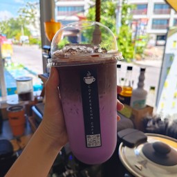 เผือกโกโก้