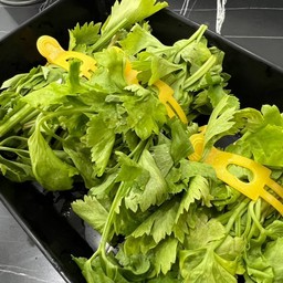 ขึ้นฉ่าย