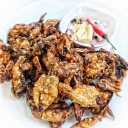 **Cooked** Sundried Squid 100g