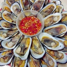 หอยบิดลวก 1 โล ไซส์ใหญ่