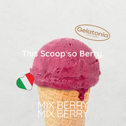 Mixberry Sorbet - เบอร์รี่รวม