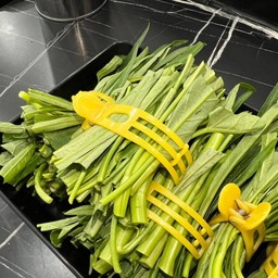 ผักบุ้ง