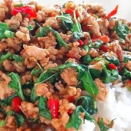 กระเพราหมูสับราดข้าว