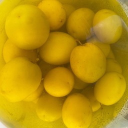 พุทราดอง