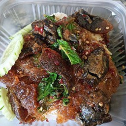 ข้าวกะเพราไข่เยี้ยวม้า วุ้นเส้น ต้องเบิ้ล