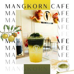 มัทซึ มัทฉะ-ยูซุ