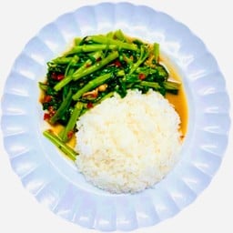 กะเพราบ้านเรา อาหารตามสั่ง