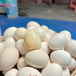 ไข่ข้าว(ไข่เน่าหรือไข่ร้างรัง ไม่รับเปลี่ยนคืนนะค่ะ)