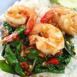 ผัดกะเพรากุ้งราดข้าว