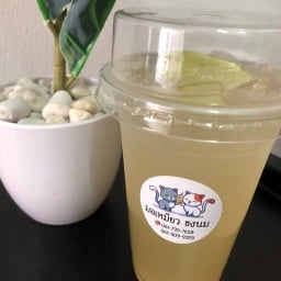 มอเหมียว ชงนม