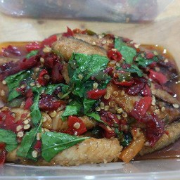 กะเพราปลาทูเถื่อน กับข้าว