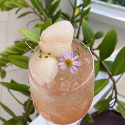 ลิ้นจี่โซดา