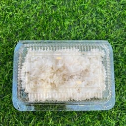 ข้าวญี่ปุ่น