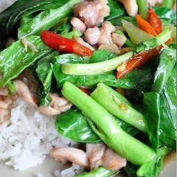 ข้าวราดผัดคะน้าไก่