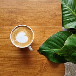 Latte (Hot)