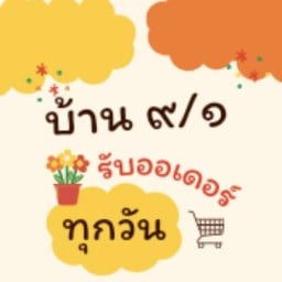 บ้าน ๙/๑