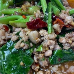คะน้าหมูสับ (ราดข้าว)