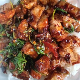 ลานกะเพราพริกแห้ง by แม่น้องลี่