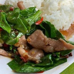 ข้าวราดคะน้าหมูชิ้น