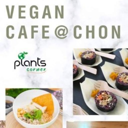Plants Corner -