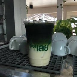 ชาเขียวนมหมี