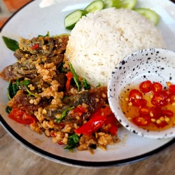 ข้าวกะเพราไข่เยี่ยวม้า