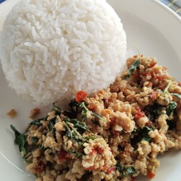 กระเพราหมูสับ