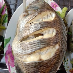 ปลานึ่ง