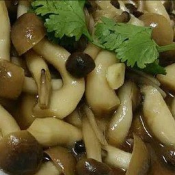 ข้าวเห็ดผัดน้ำมันหอย