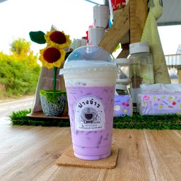 เผือกนมสด เย็น