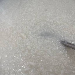 ข้าวต้มกุ๊ย