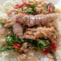 กะเพรากั้งราดข้าว