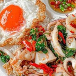 ข้าวกะเพราหมึก+ไข่ดาว