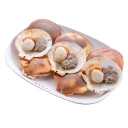 หอยเชลล์