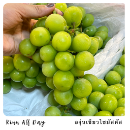 Shine muscat องุ่นไซมัสคัส 500g