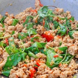 ผัดกระเพราหมูสับ (กับข้าว)