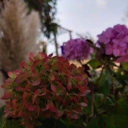 จุดชมวิวโครตสูง กม.48