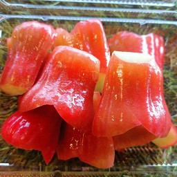 ชมพู่ ทับทิมจันทร์ พร้อมทาน