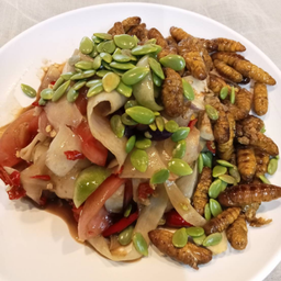 ตำหลวงพระบางดักแด้