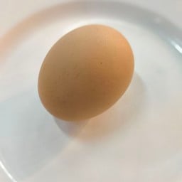 ไข่ไก่