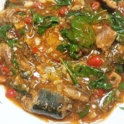 ผัดกระเพราปลากระป๋อง