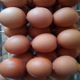 ไข่ปิ้งทรงเครื่อง ( ไม้ละ 3 ฟอง )