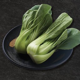 กวางตุ้ง ไต้หวัน