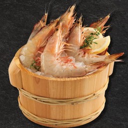 กุ้งแชบ๊วยทะเล